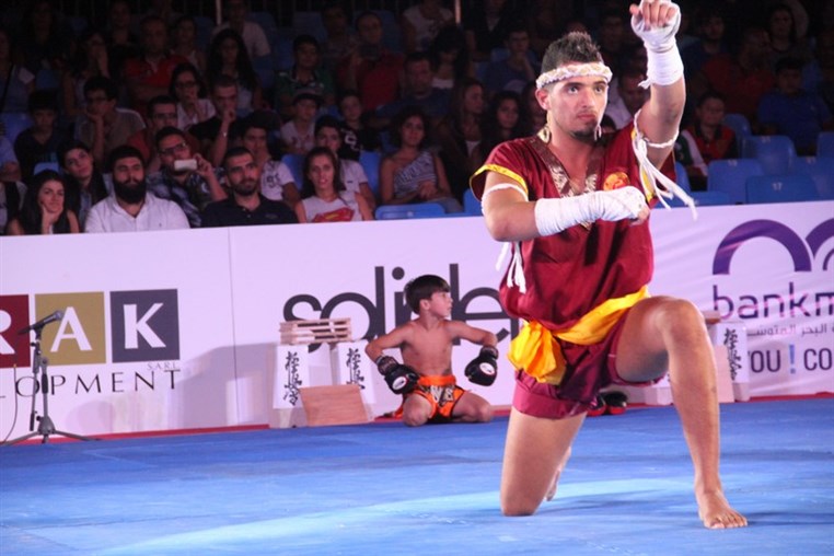 Martial Arts Festival